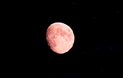 Click here to see a larger picture